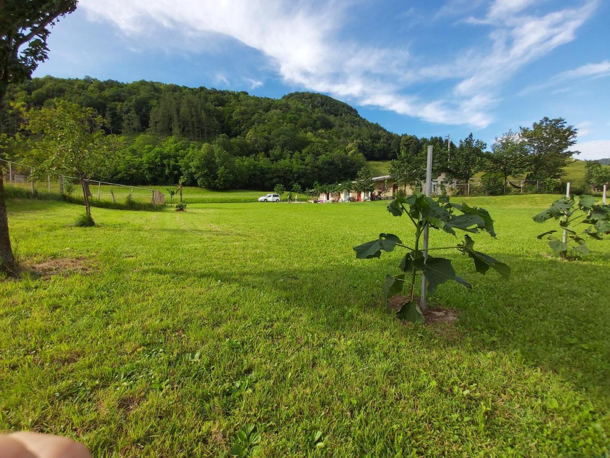Glamping Hiske Petrin 호텔 톨민 외부 사진