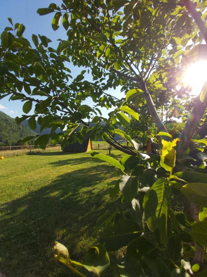 Glamping Hiske Petrin 호텔 톨민 외부 사진